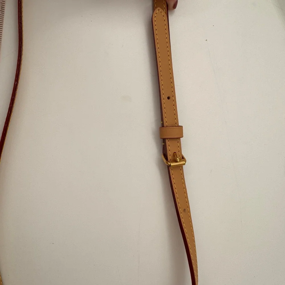Louis Vuitton x Tyler, The Creator Monogram Craggy Dog Bag Brown Authentic CoA